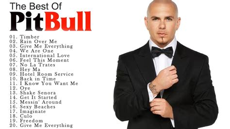 pitbull 2010 songs list