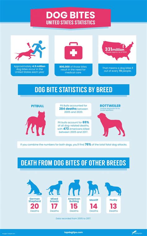 pitbull dog attacks statistics