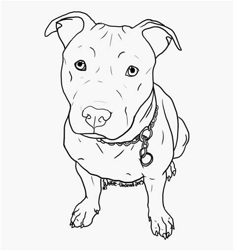 pitbull dog drawing outline