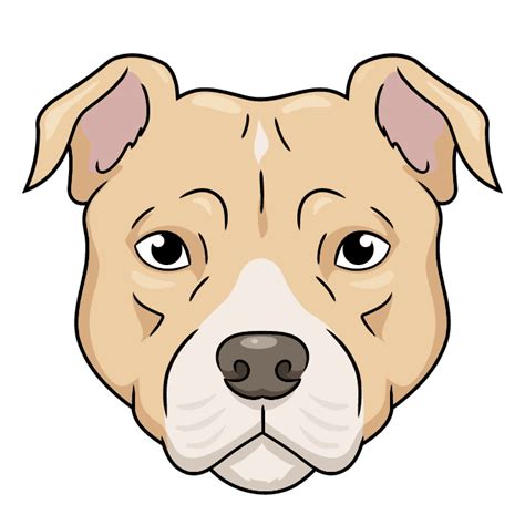 pitbull dog face drawing