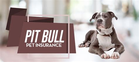 pitbull dog insurance reviews