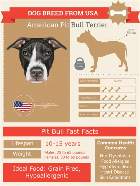 pitbull dog lifespan