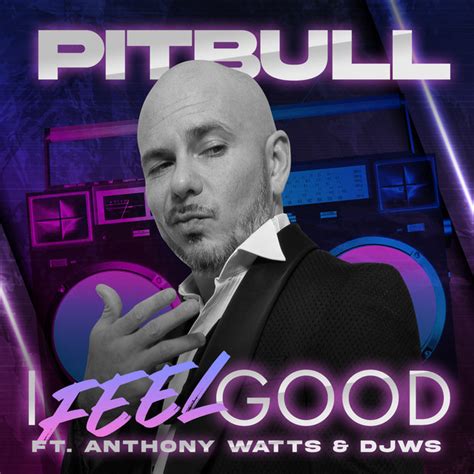 pitbull i feel good tour song list