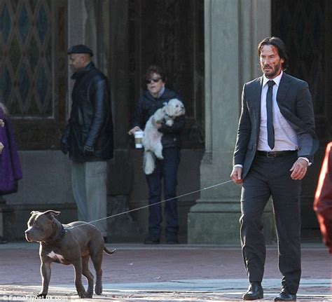 pitbull in john wick