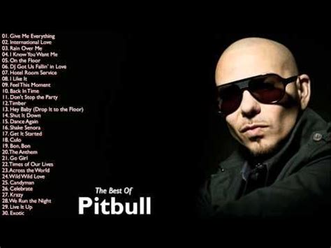 pitbull songs download