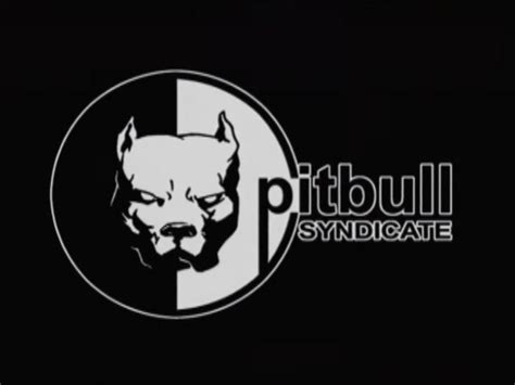 pitbull syndicate limited logo