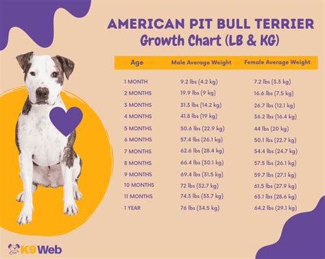 pitbull weight male