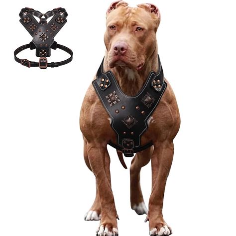 pitbull weight vest