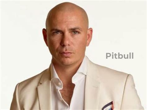 What Is Pitbull