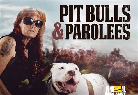 pitbulls and parolees cancelled