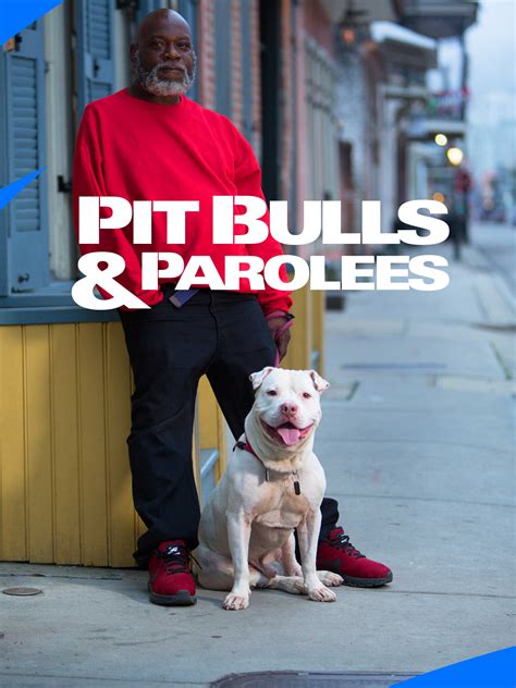 pitbulls and parolees cancelled 2022