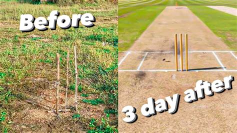 Pitch Making Cricket