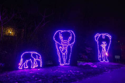 pittsburgh zoo christmas lights