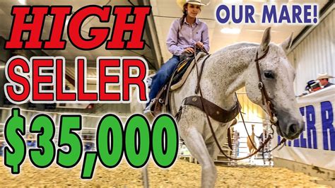 pitzer horse sale results 2023