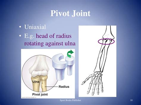Pivot Joint Uniaxial