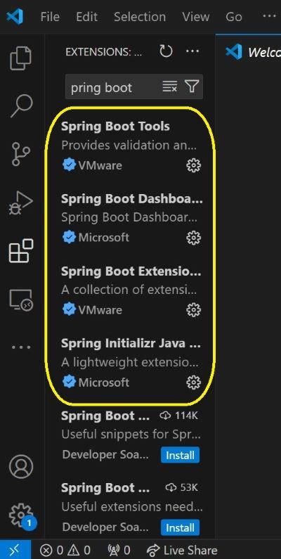 Pivotal.vscode-Spring-Boot' Extension