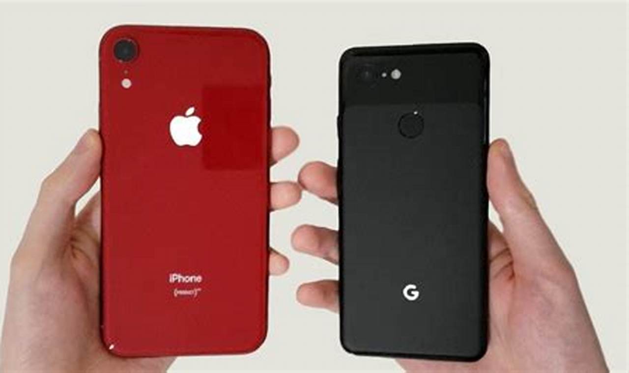 pixel 3 xl vs iphone xr camera