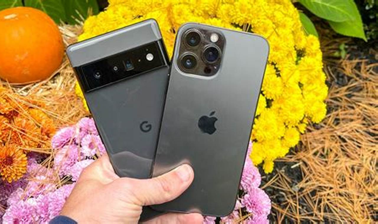 pixel 6 pro vs iphone 12 mini