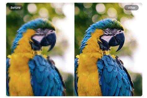 ピクセル化された画像とぼかし画像の比較イメージ