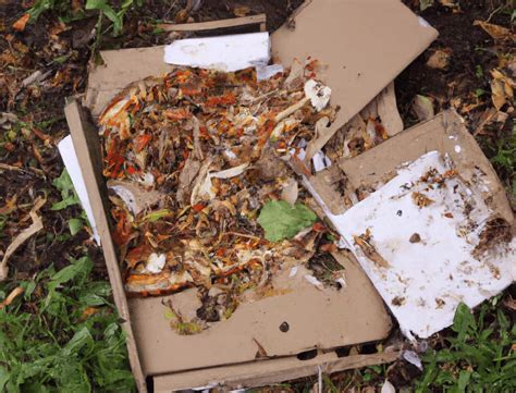 Pizza Box Worm Compost