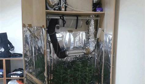 Un appartement livré avec un placard à cannabis Newsweed