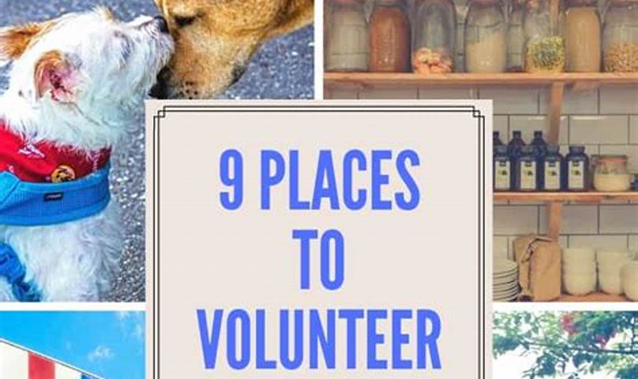 Places to Volunteer Nearby: Making a Difference in Your Community