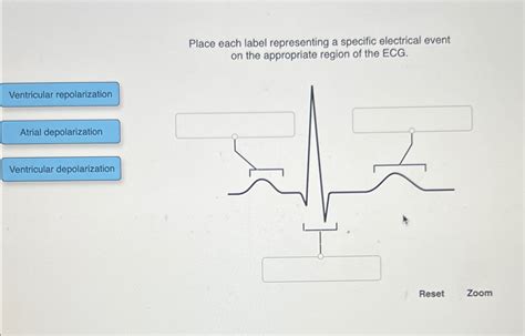 place each label representing a specific electrical