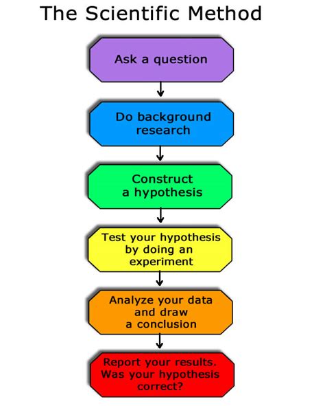 place the steps of the scientific method in order with the first step at the top