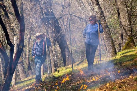 placer county burn day info