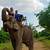 places to ride an elephant