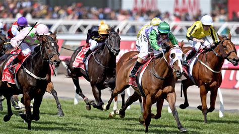 placings in melbourne cup