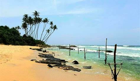 Les plages du Sri Lanka et plus encore! - Siège hublot