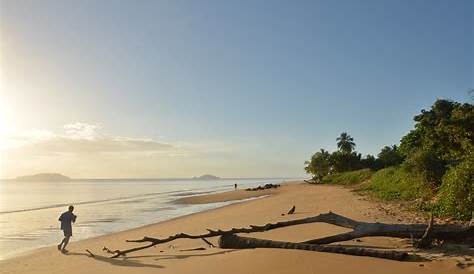 Grande anse des Salines | Plage, Salin et Ile