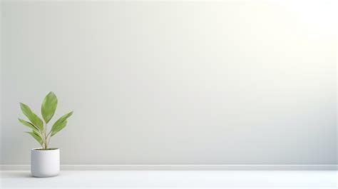 Plain White Wall Background For Zoom