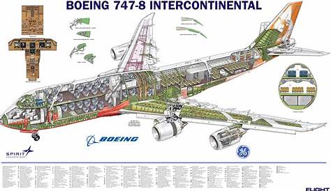 747-8I Cutaway from Flight International - Nov 2012 | Boeing 747
