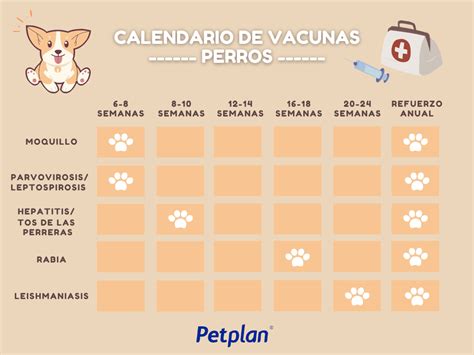 plan de vacunación para perros