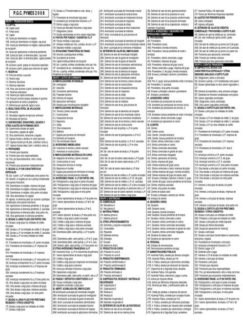 Plan General Contable Pymes Viral