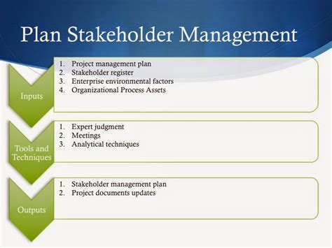 plan stakeholder management process