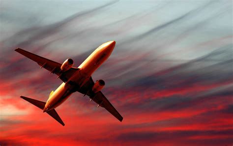 Model plane,airplane on pastel color background Photo Premium Download