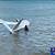 plane crash today bahamas
