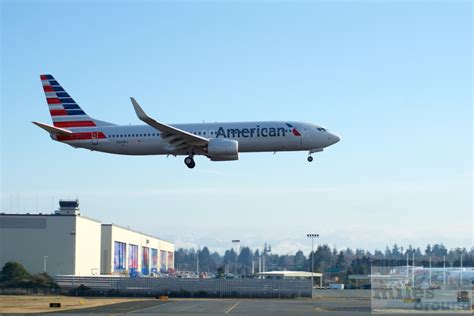 plane spotting paine field