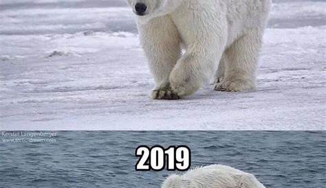 Earth's '10YearChallenge' The Only 10YearChallenge That