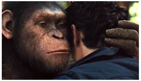 APES TOGETHER STRONG Apestogether STRONG