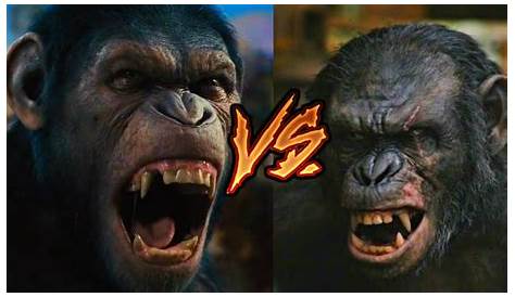 The truth about of the Apes’ Caesar and Koba