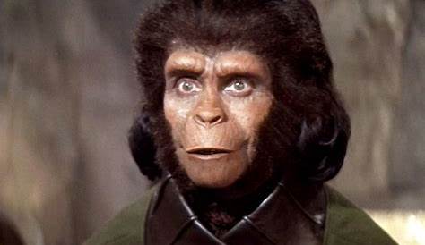 Of The Apes Female Doctor picportal