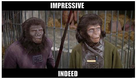 Planet Of The Apes Meme 25+ Best Rise s Rising