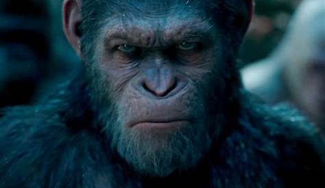 ‘War for the of the Apes’ Deserves to Win the VFX