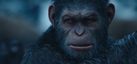planet of the apes 2024 release date