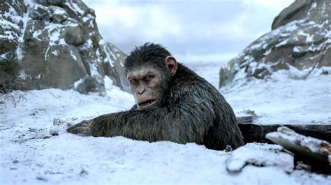 planet of the apes new kingdom streaming