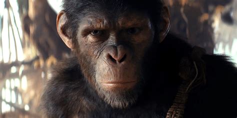 planet of the apes wiki noa